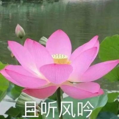 江苏省委一新机构亮相 胡建军获任省委社会工作部副部长
